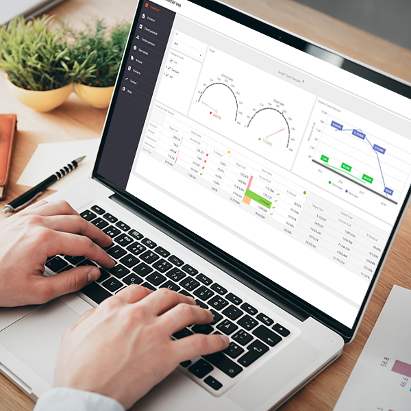 Automatizarea data de sistemele Senior Software  a ajutat distribuitorul Verdon sa obtina o cifra de afaceri de 4 ori mai mare