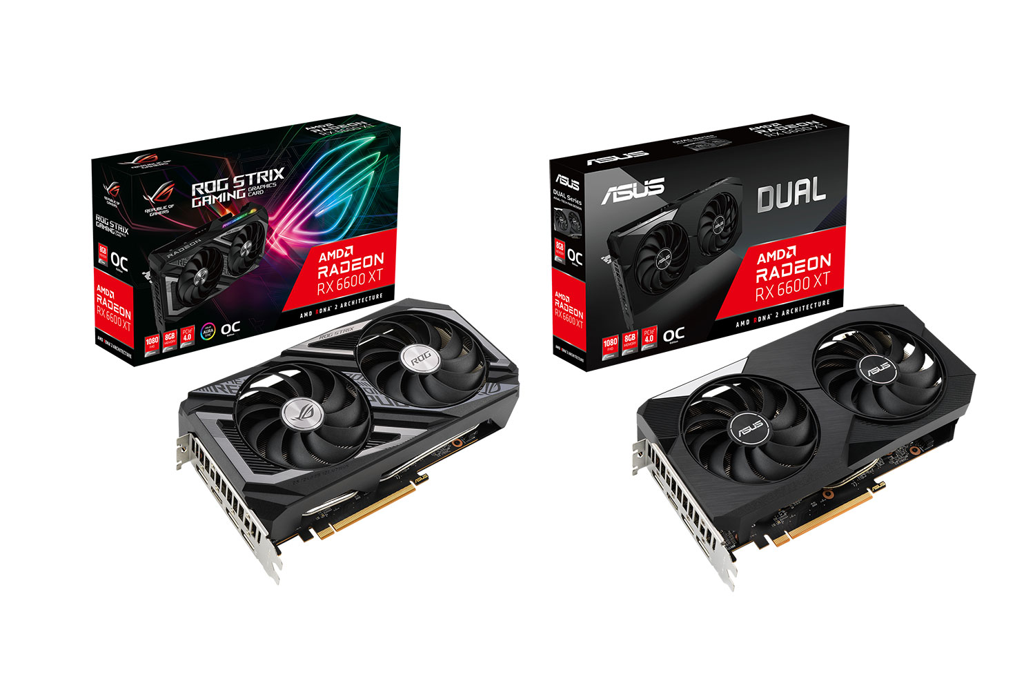 ASUS anunță plăcile grafice AMD Radeon RX 6600 XT